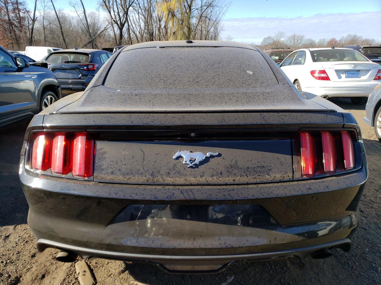 Lot #3034279134 2015 FORD MUSTANG