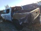 Lot #3025126185 2023 TOYOTA TACOMA DOU