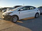 HYUNDAI ELANTRA SE photo