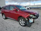 Lot #3023983266 2010 LEXUS RX 350