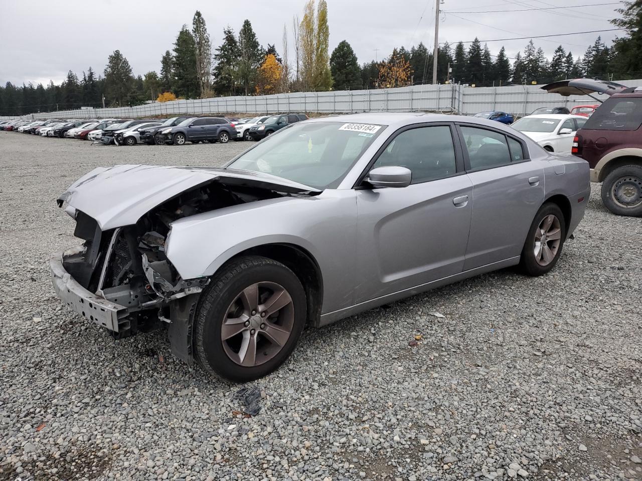 Lot #3026189281 2014 DODGE CHARGER SX