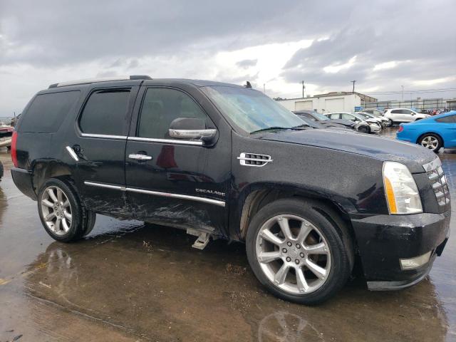 2010 CADILLAC ESCALADE P - 1GYUCCEF4AR287972