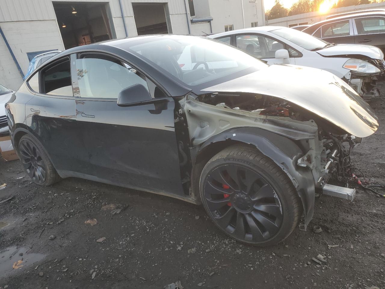 Lot #3037246486 2023 TESLA MODEL Y