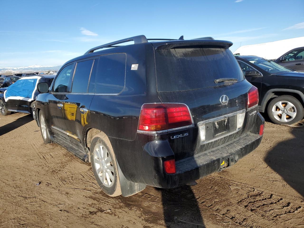 Lot #3021051348 2010 LEXUS LX 570