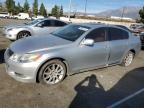 Lot #2991072188 2006 LEXUS GS 300