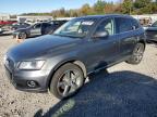 AUDI Q5 TDI PRE photo