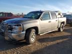 Lot #3026194273 2012 CHEVROLET 1500