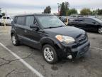 KIA SOUL + photo