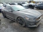 Lot #3023756895 2017 FORD MUSTANG