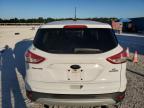 FORD ESCAPE SE снимка