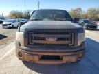 Lot #3024146820 2013 FORD F150 SUPER