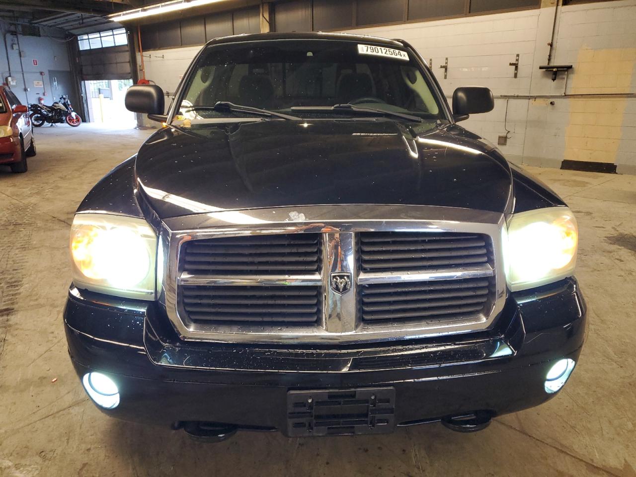 Lot #2955356492 2005 DODGE DAKOTA SLT