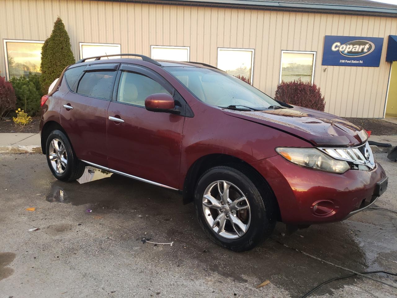 Lot #3025820309 2009 NISSAN MURANO S