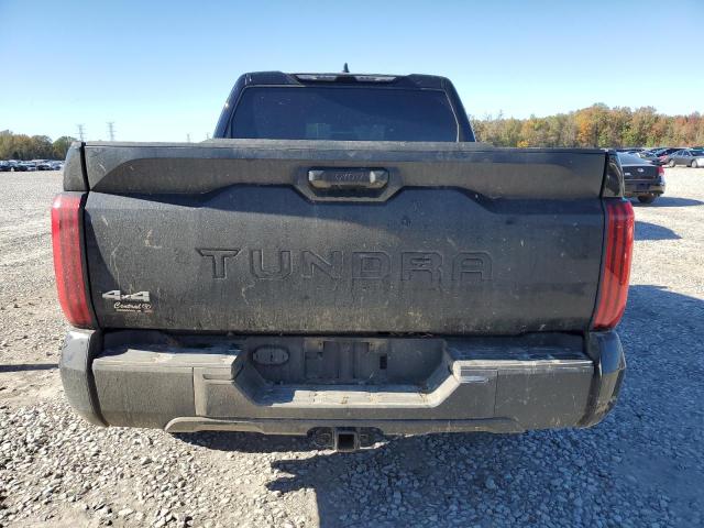 2023 TOYOTA TUNDRA CRE - 5TFLA5DB9PX062257
