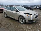 FORD FOCUS SE photo