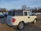 Lot #3024622602 2009 HONDA ELEMENT EX