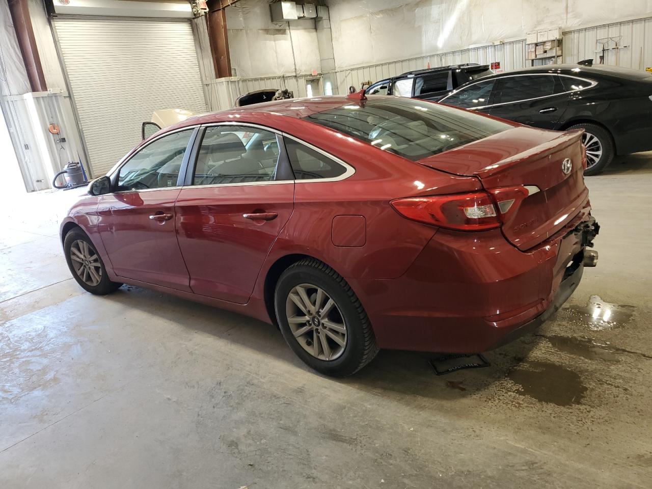 Lot #2974853151 2016 HYUNDAI SONATA SE