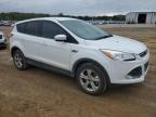 FORD ESCAPE SE снимка