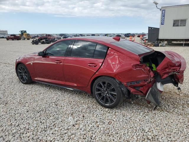 CADILLAC CT5 SPORT 2024 maroon  gas 1G6DP5RK5R0106717 photo #3