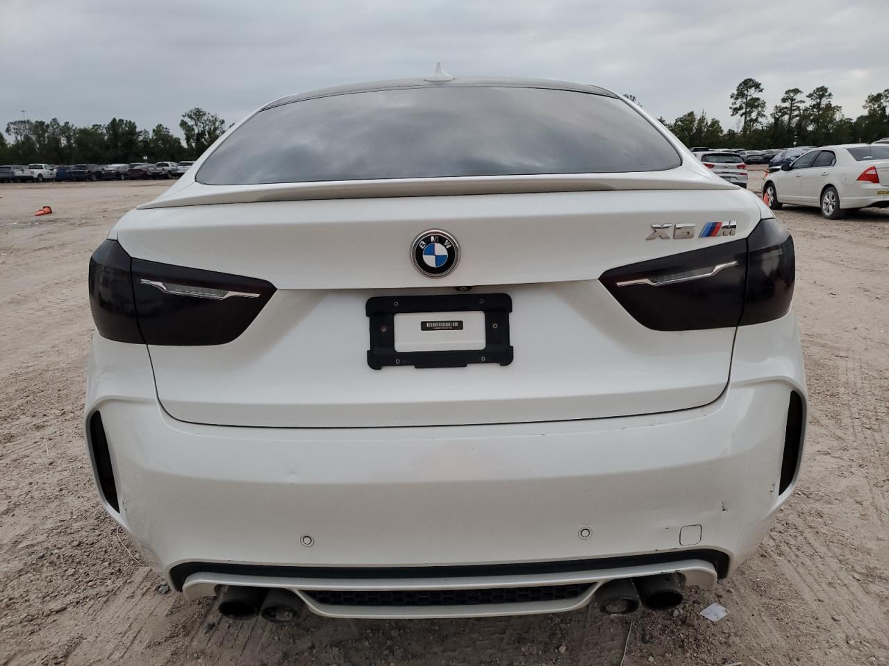 Lot #2959855292 2017 BMW X6 M