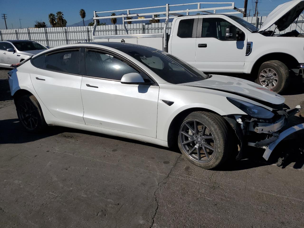 Lot #3020233485 2022 TESLA MODEL 3