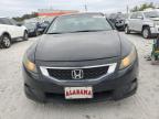 Lot #3006114757 2010 HONDA ACCORD EXL