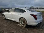 Lot #3023655990 2022 CADILLAC CT5 LUXURY