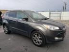 Lot #3024496537 2015 FORD ESCAPE TIT