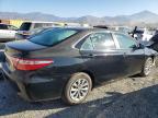 Lot #3025211644 2015 TOYOTA CAMRY LE