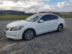 HONDA ACCORD EXL photo