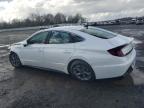 Lot #3025210618 2023 HYUNDAI SONATA SEL