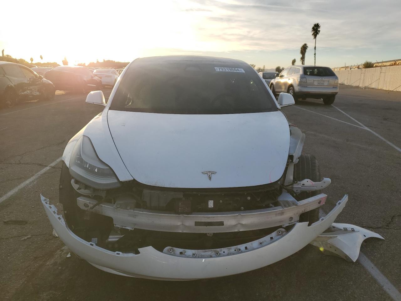 Lot #3033030025 2020 TESLA MODEL 3