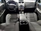 FORD ESCAPE XLT photo