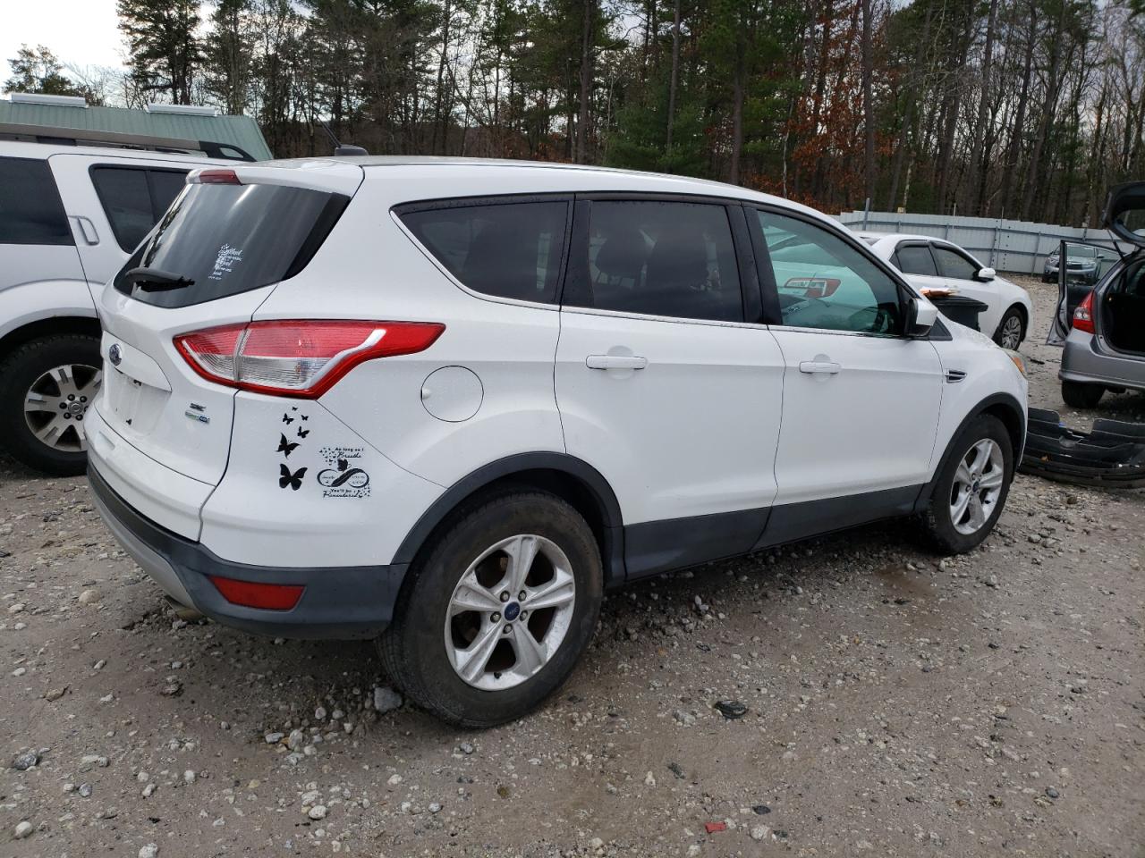 Lot #3030518472 2014 FORD ESCAPE SE