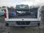 Lot #3024344613 2024 CHEVROLET SILVERADO