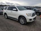 Lot #3023992210 2013 TOYOTA SEQUOIA PL