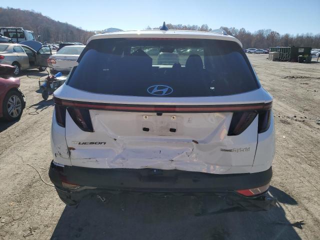 VIN KM8JECA17PU120309 2023 Hyundai Tucson, Limited no.6