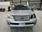 Lot #3024216863 2010 LEXUS GX 460