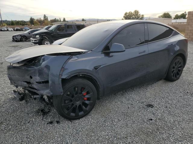 2023 TESLA MODEL Y #3028869076