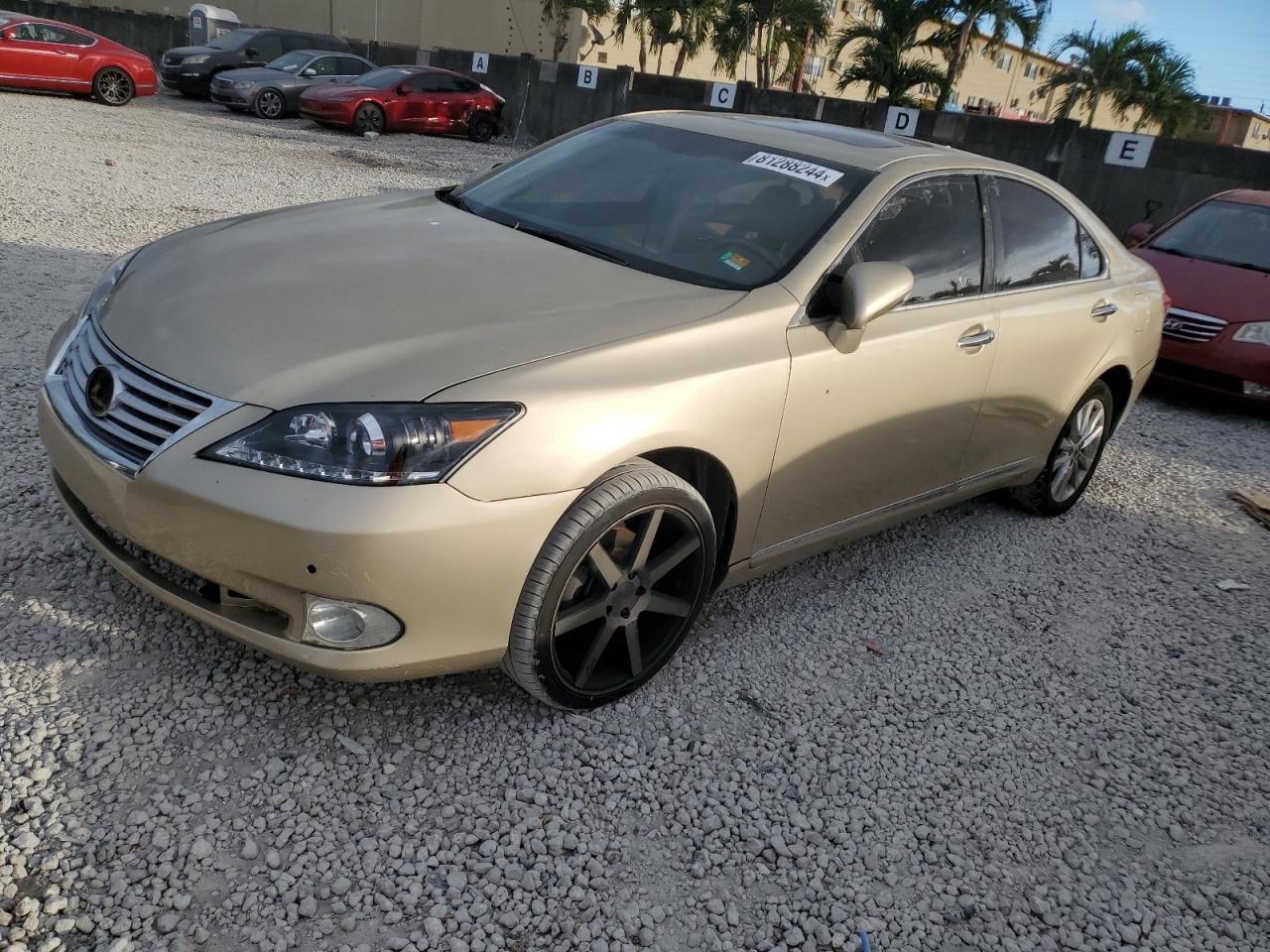 Lot #3005810328 2012 LEXUS ES 350