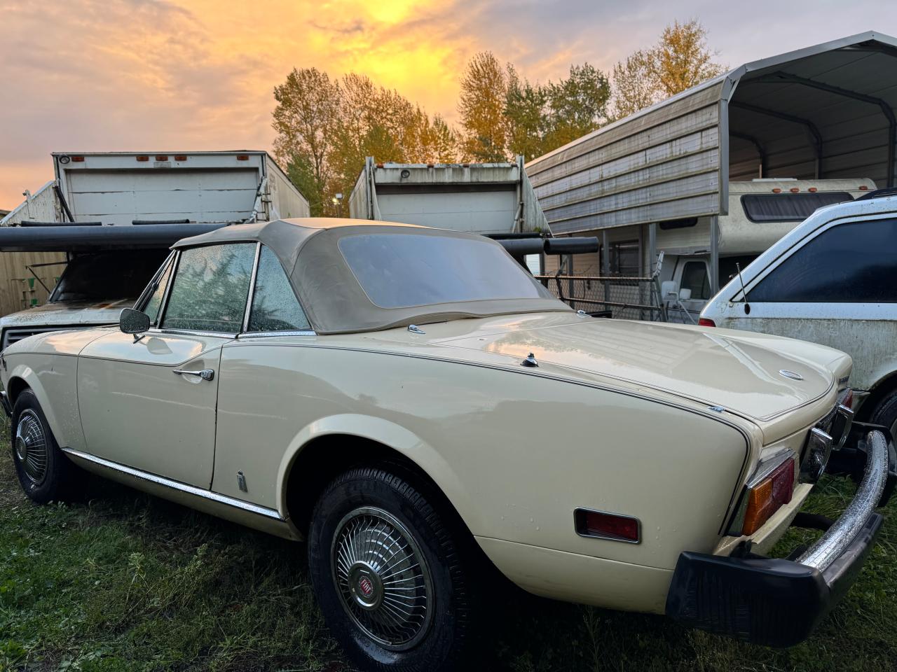 Lot #2976320992 1977 FIAT 124 SPYDER