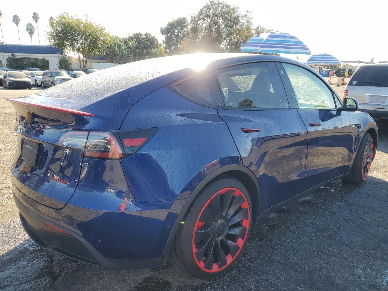 Lot #3030427474 2022 TESLA MODEL Y