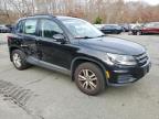 Lot #3022873382 2017 VOLKSWAGEN TIGUAN S