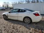 Lot #3024061620 2008 HONDA ACCORD EXL