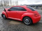 VOLKSWAGEN BEETLE photo