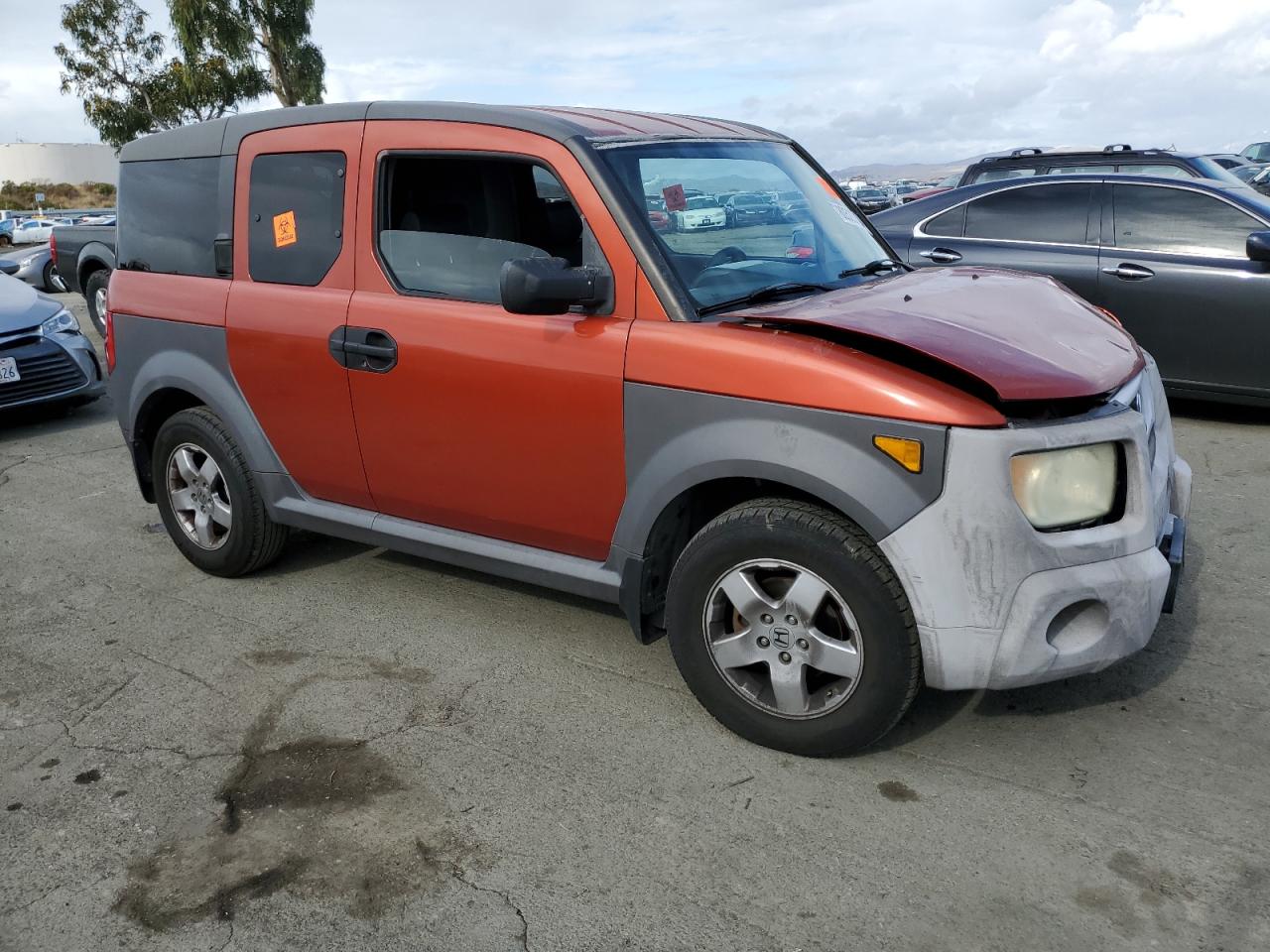 Lot #3025772314 2005 HONDA ELEMENT EX