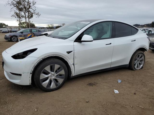 2022 TESLA MODEL Y #3032989994