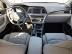 Lot #3024464524 2017 HYUNDAI SONATA SPO