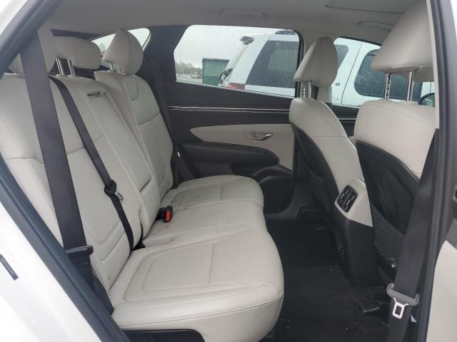 2023 HYUNDAI TUCSON SEL - 5NMJF3AEXPH283113
