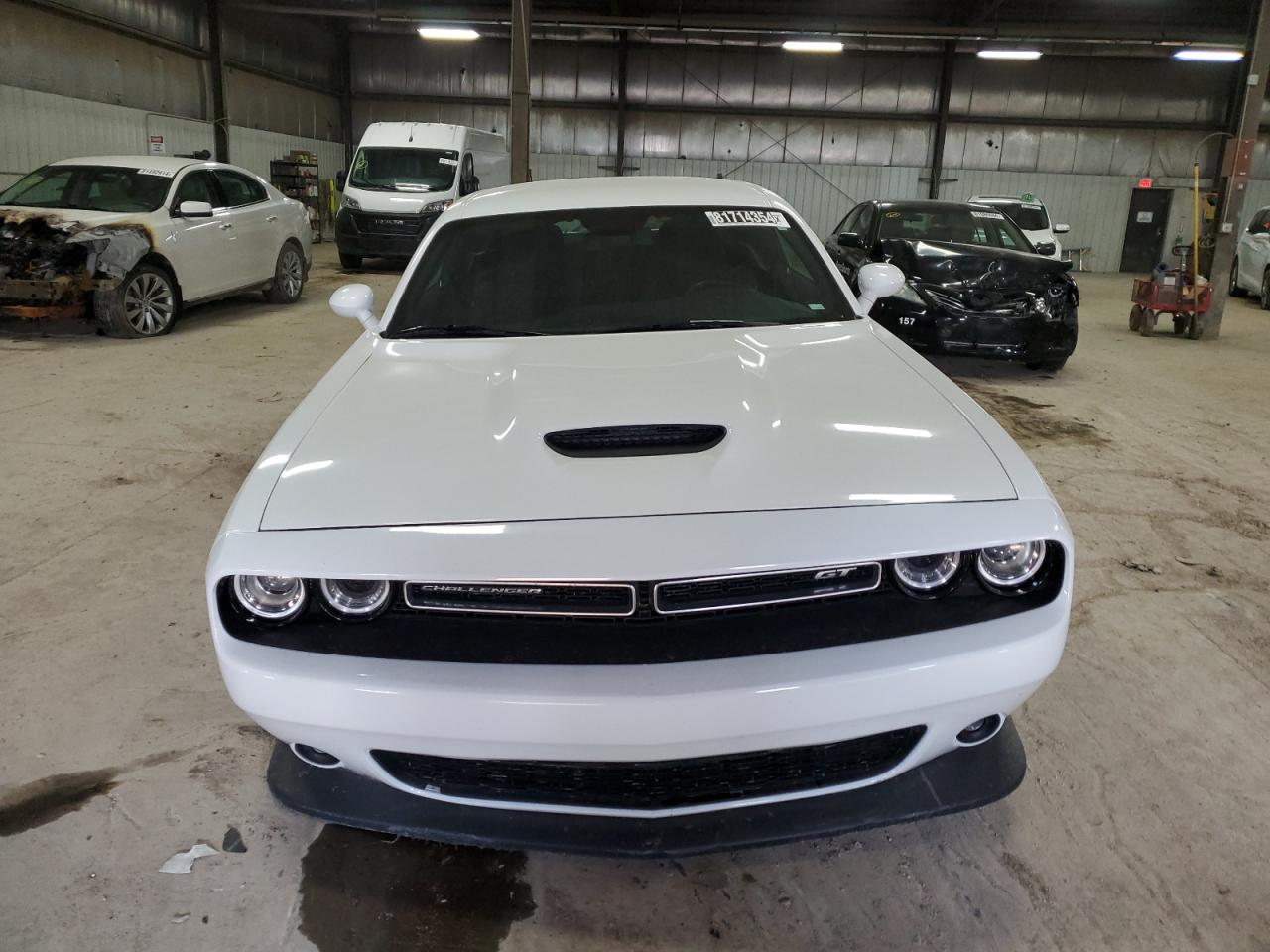 Lot #2993723166 2022 DODGE CHALLENGER